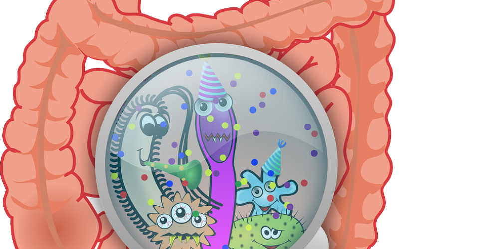 Eubiosi intestinale: l&#8217;importanza dei probiotici