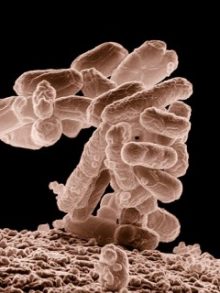 Antimicrobico-resistenza, Antibiotico-resistenza e l’Era Post-Antibiotica