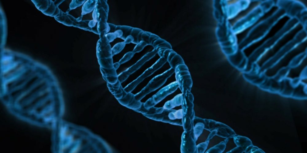 Il DNA può generare campi elettromagnetici: la scoperta di Montagnier
