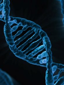 Il DNA può generare campi elettromagnetici: la scoperta di Montagnier
